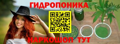 шишки Абинск