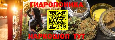 шишки Абинск